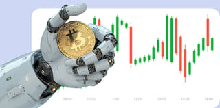 Raven Vermitha cryptocurrency exchange platform dashboard view