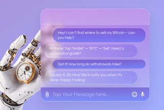 Professional crypto customer support and assistance at Raven Vermitha
